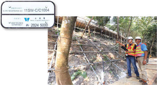 水務署的斜坡編號牌及現場監督位於沙田筆架山的斜坡鞏固工程圖片