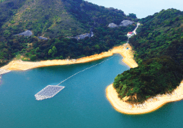 Floating Solar Power System on Plover Cove Reservoir