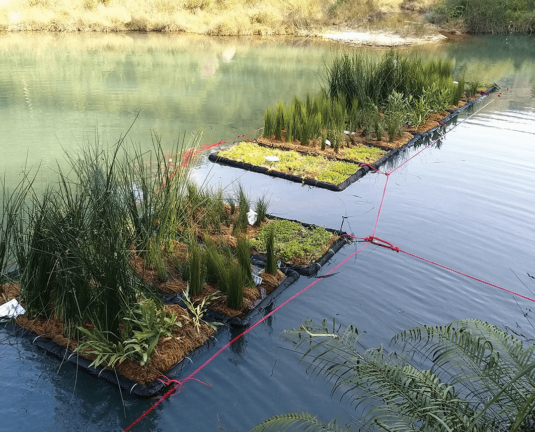 A pilot scheme placing ecological floating islands in Hung Shui Hang Irrigation Reservoir helps to enhance biodiversity.