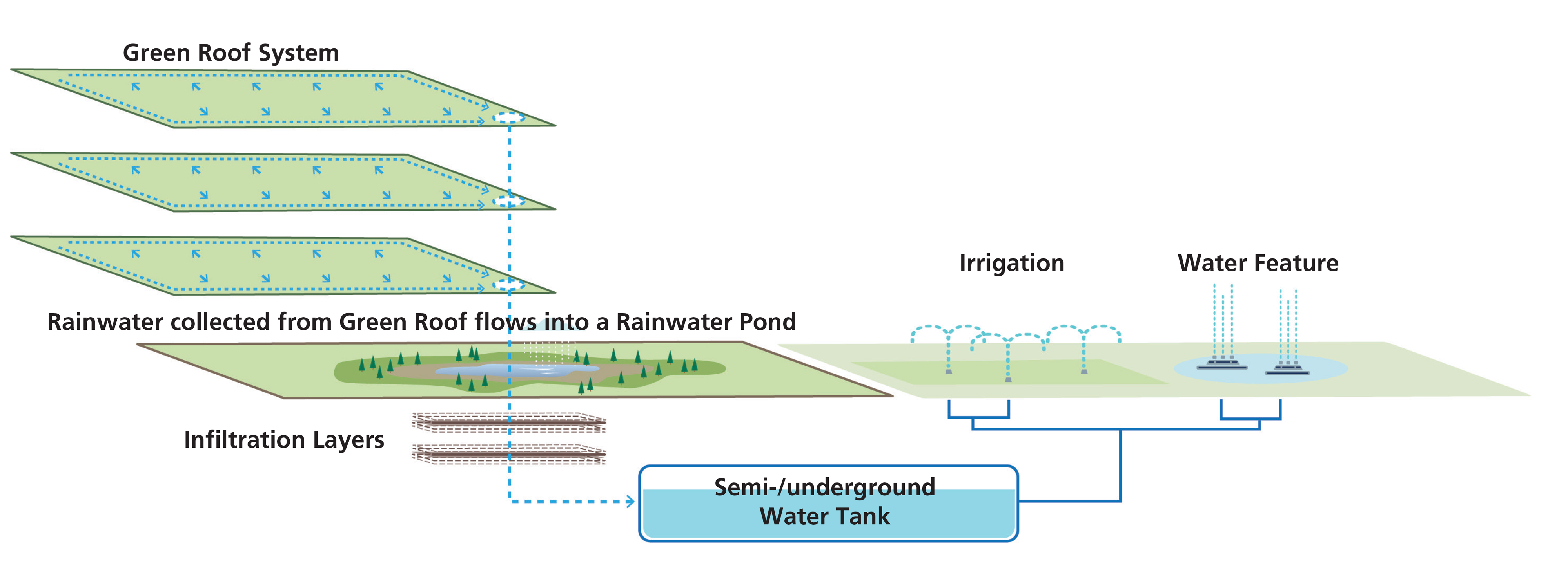 Diagram of the green roof and rainwater harvesting system