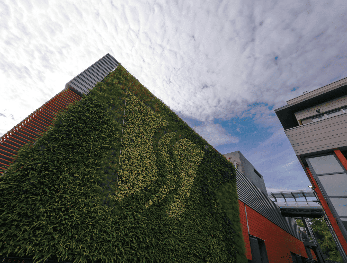 The iconic vertical green wall in TPWTW