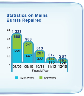 Statistics on Mains Bursts Repaired