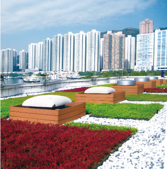 Green roof on a pumping station Photo