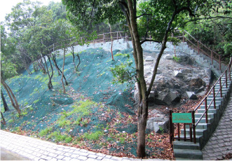 Slope at Reservoir Road, Pok Fu Lam Photo