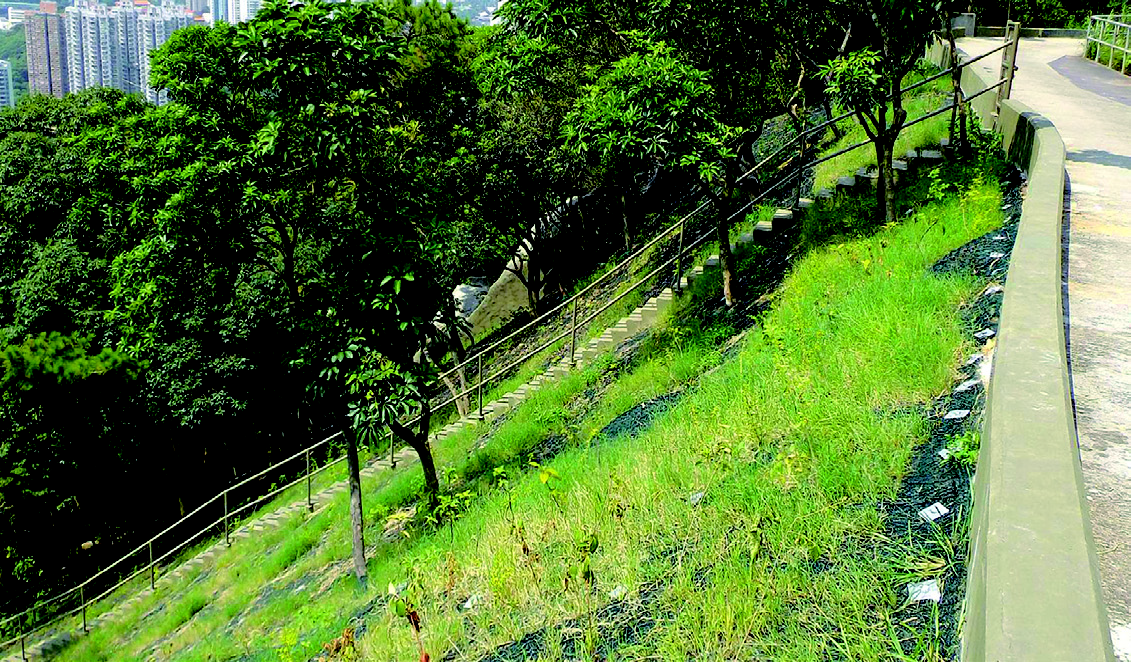 Optimising Waterworks Assets - 02