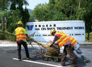 Tree Management and Tree Risk Assessment