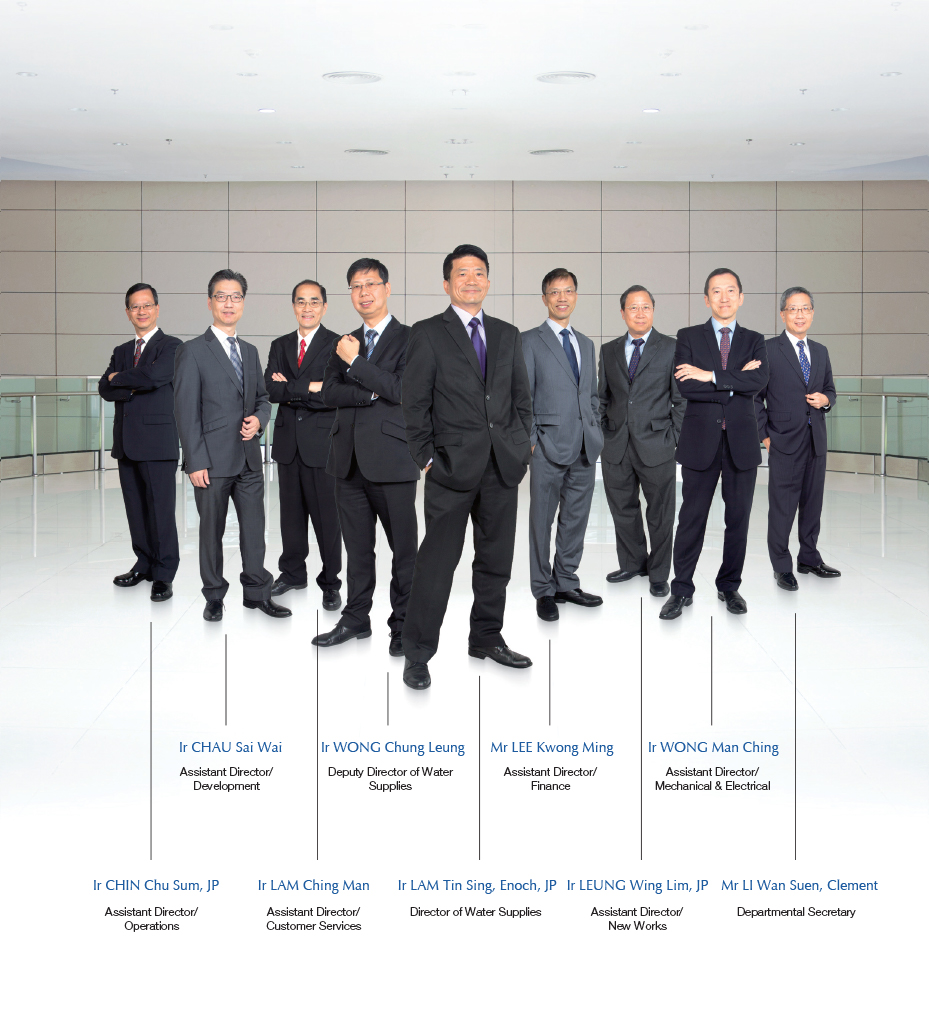 WSD Organisation