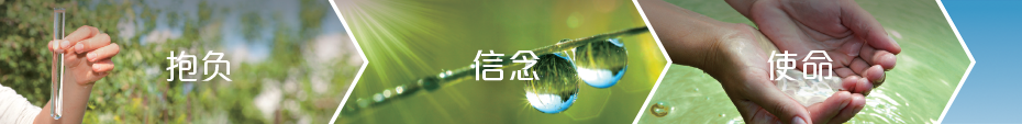 抱负、使命及信念