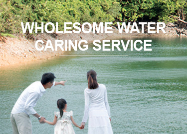 _WHOLESOME WATER CARING SERVICE