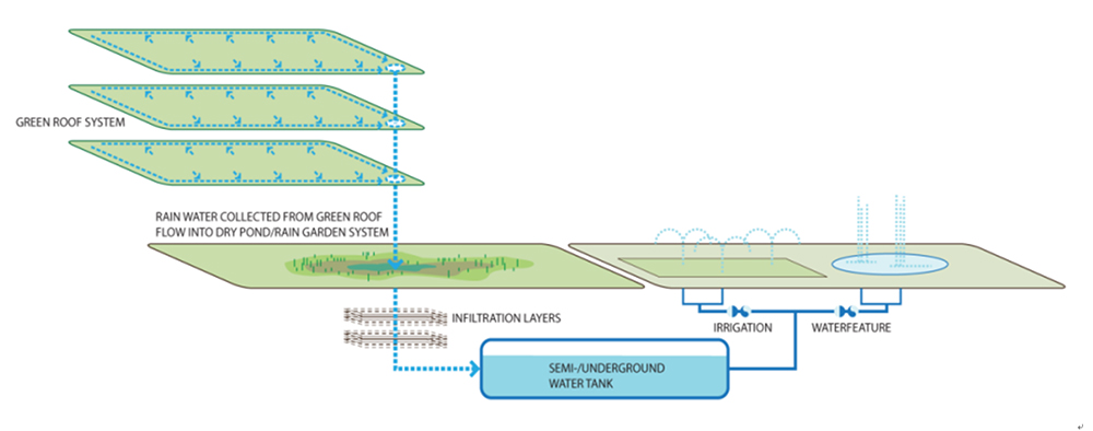 Rainwater Harvesting