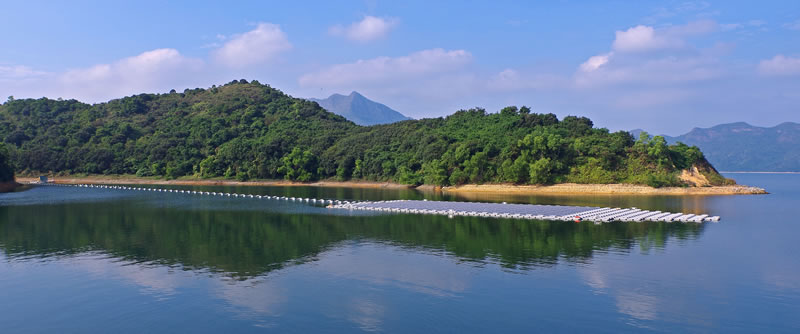 Photo - Harmony of technology and nature under the sunlight.