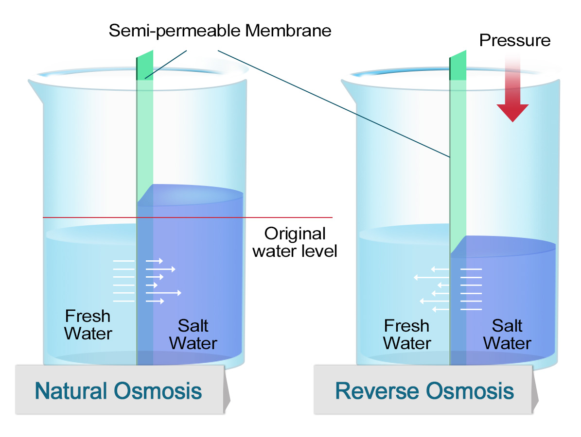 Semi-permeable Membrane