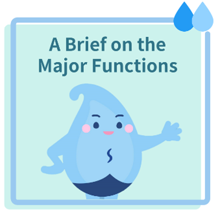 A Brief on the Major Functions