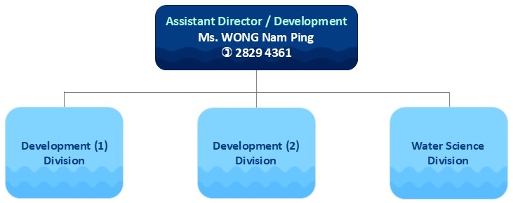 Organisation Chart of Development Branch
