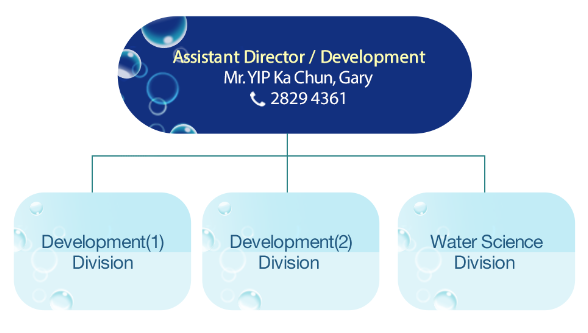 Organisation Chart of Development Branch