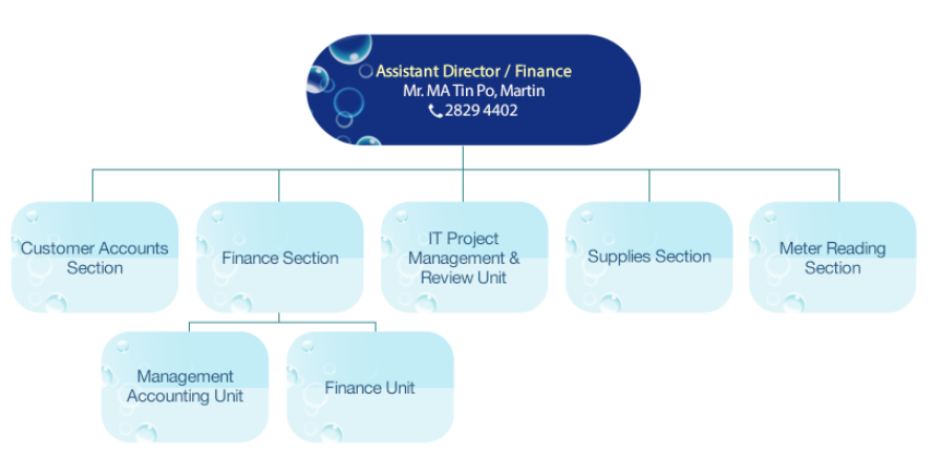 Organisation Chart of Finance Branch