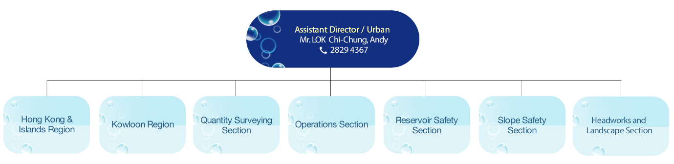 Organisation Chart of Supply and Distribution (Urban) Branch