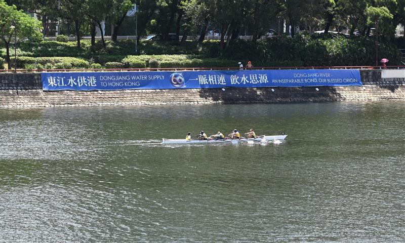 參加者投入參與傳承划四人雙槳有舵手艇賽事。