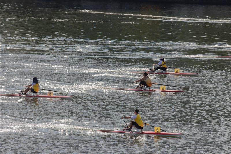 參加者投入參與傳承划250米單人平板艇賽事。