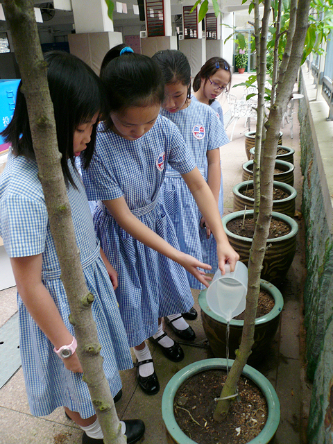 Baptist Lui Ming Choi Primary School