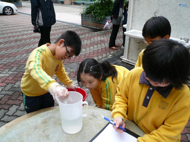 Tai Po Baptist Public School