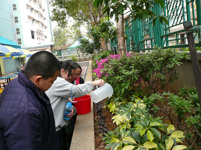 L.S.T. Leung Kau Kui Primary School (Branch)