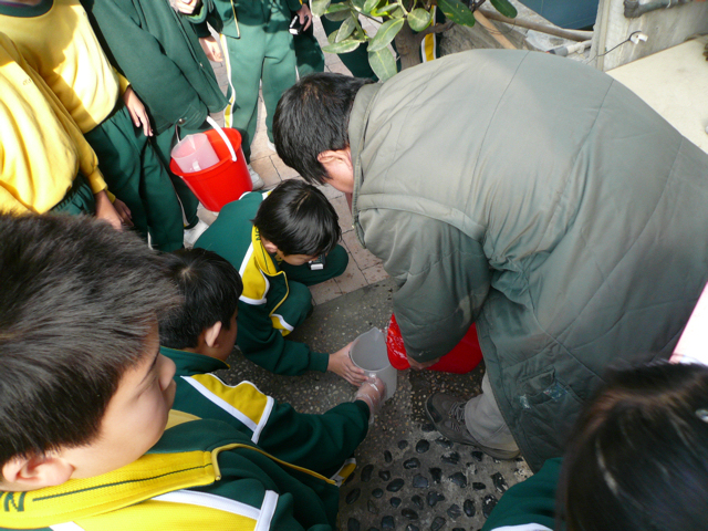 天主教伍华小学