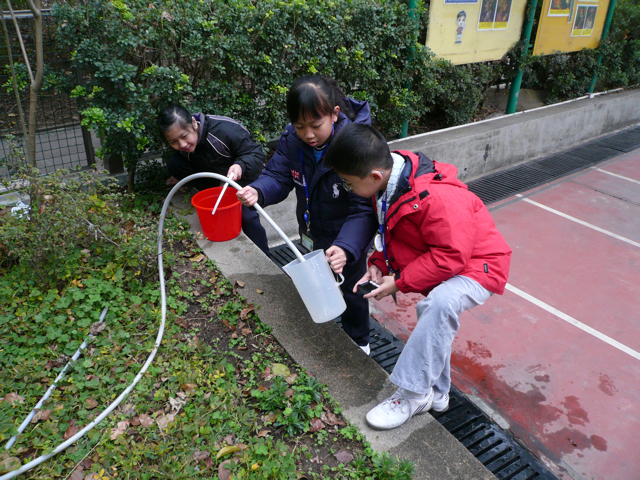 大埔旧墟公立学校