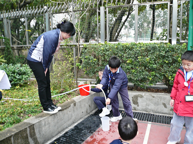 Tai Po Old Market Public School