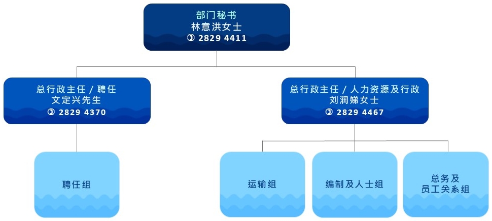 部门行政部组织图