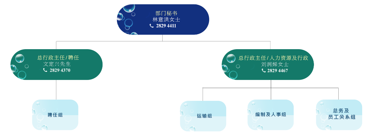 部门行政部组织图