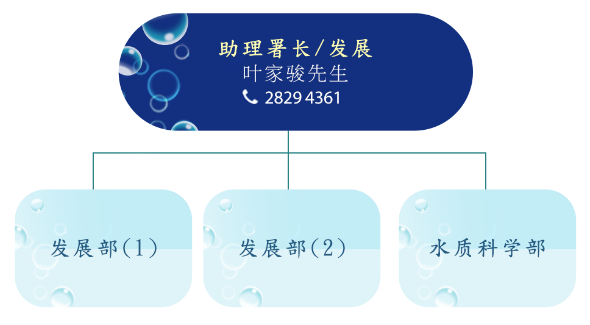 发展科组织图