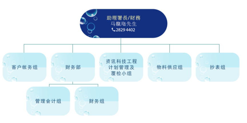 财务科组织图