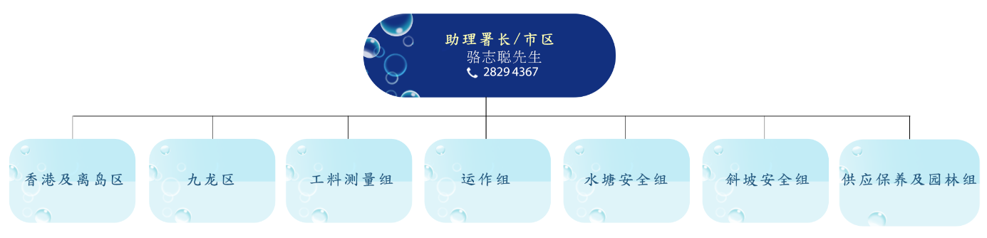 供应及分配(市区)科组织图