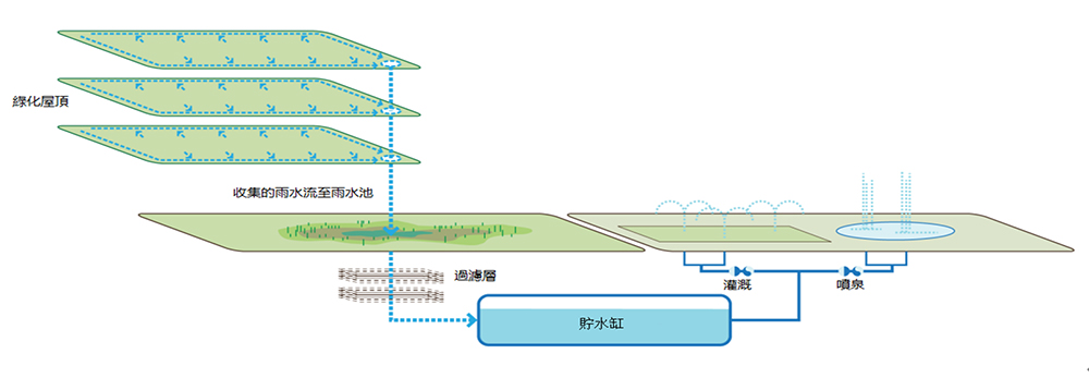 雨水收集系統