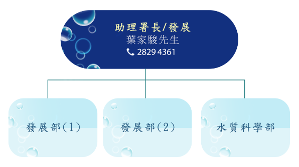 發展科組織圖