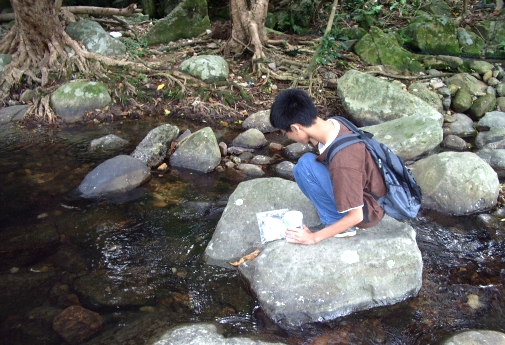 Shing Mun Reservoir - By CCC Kei Long College