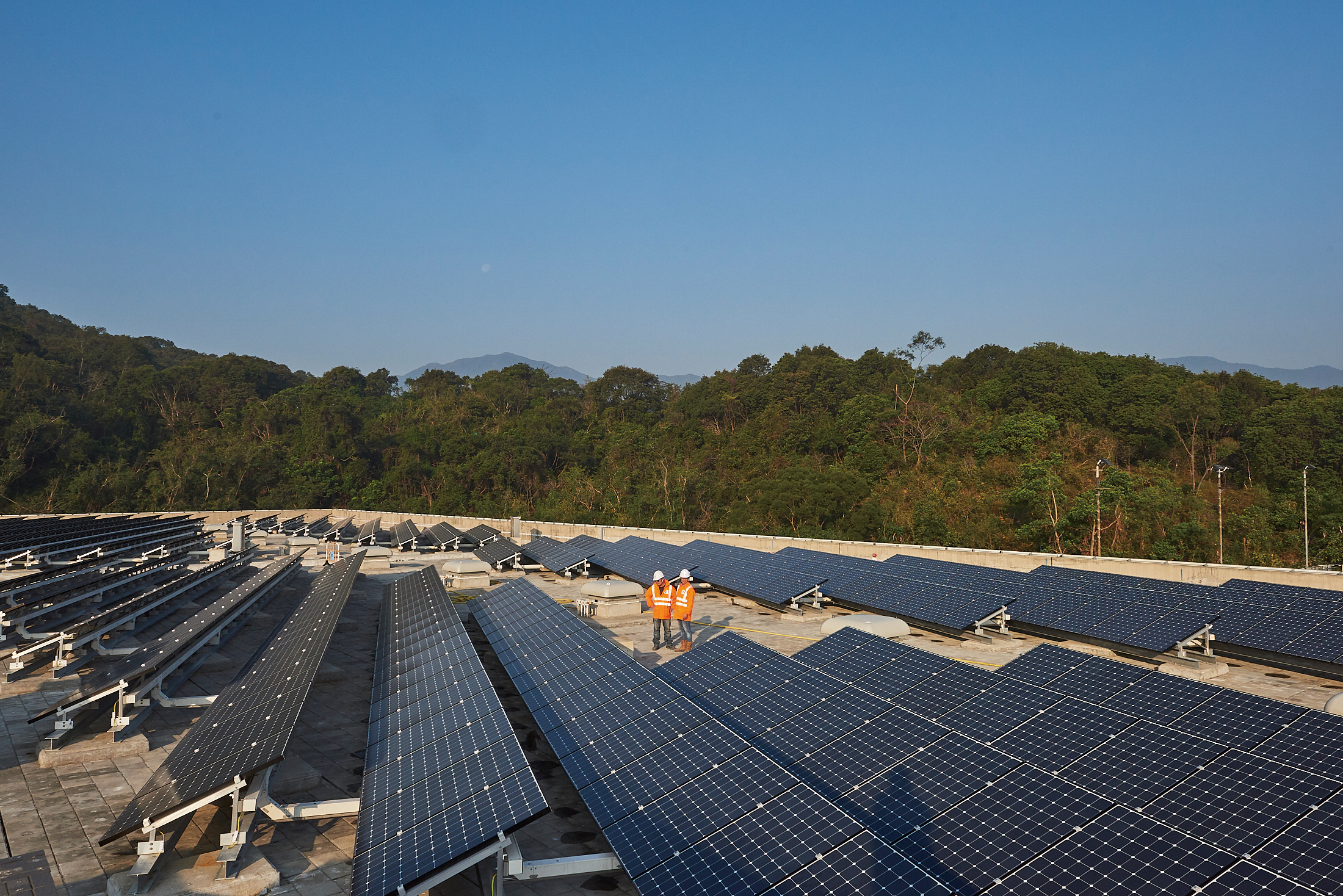 大埔濾水廠溶氣浮選池大樓天台的太陽能發電板